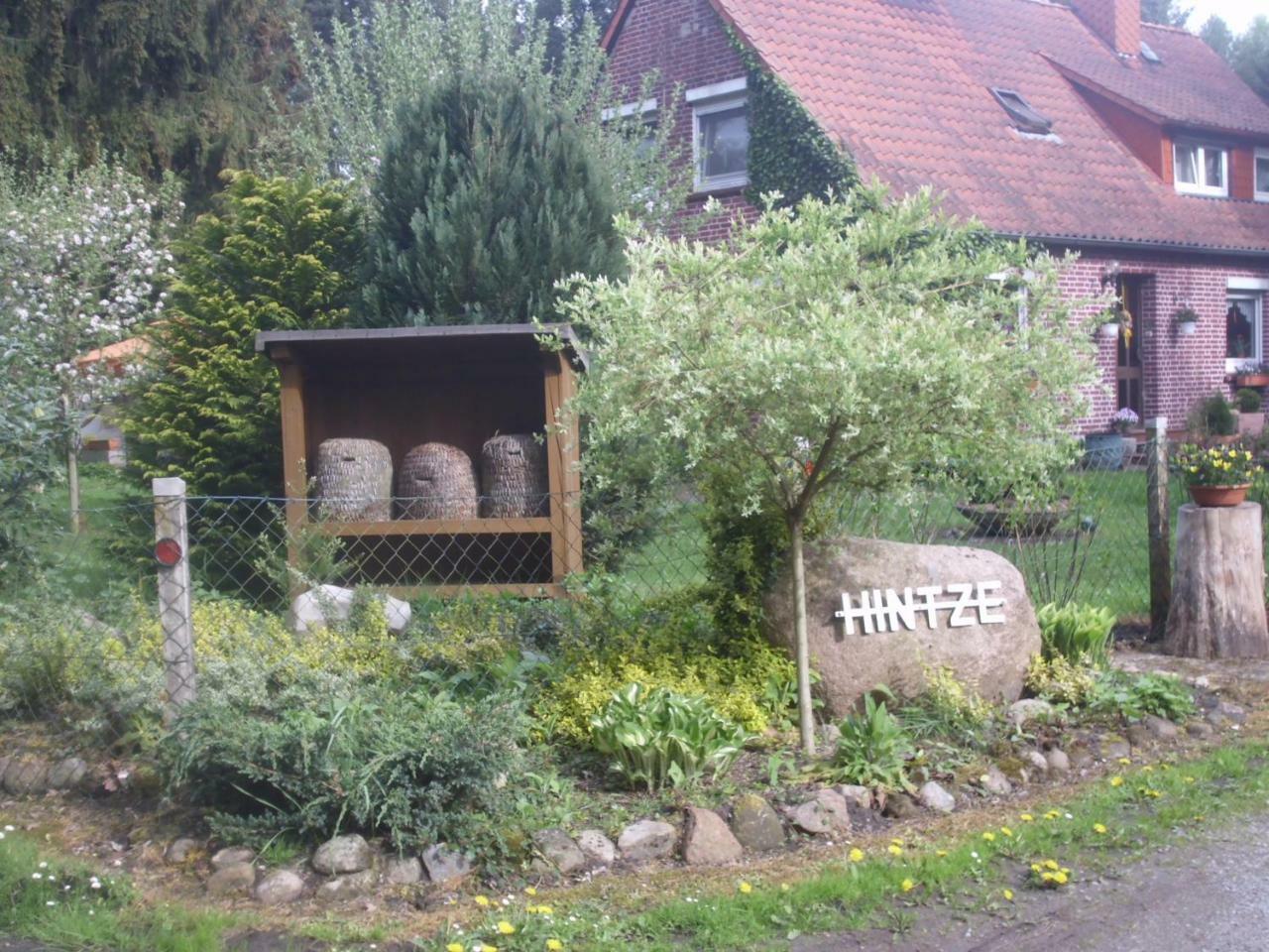 Hintze Villa โซลเทา ภายนอก รูปภาพ